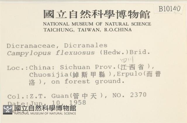 曲柄蘚藏品圖，第2張