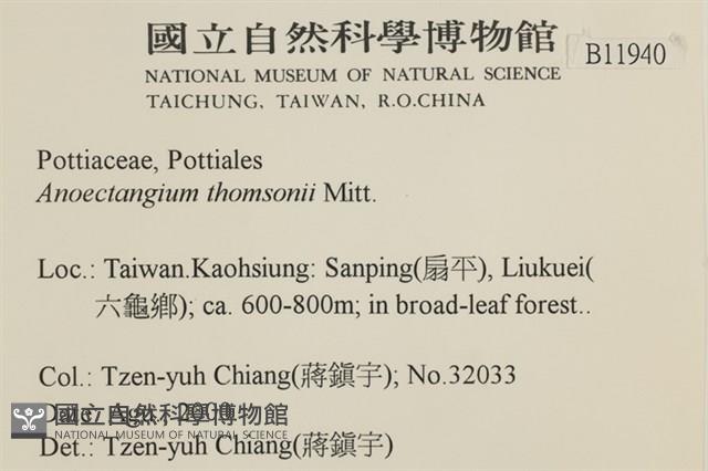 索氏叢本蘚藏品圖，第2張