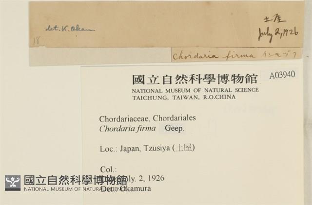 登錄號:A00003940藏品圖，第2張