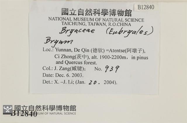 登錄號:B00012840藏品圖，第2張
