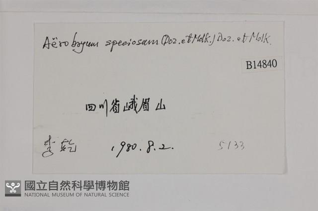 登錄號:B00014840藏品圖，第2張