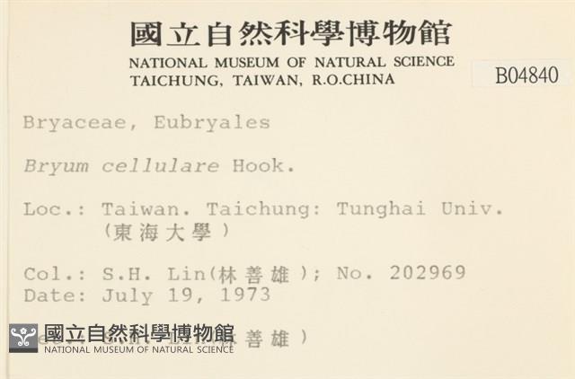 登錄號:B00004840藏品圖，第2張