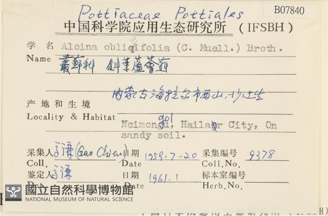 斜葉蘆薈蘚藏品圖，第2張