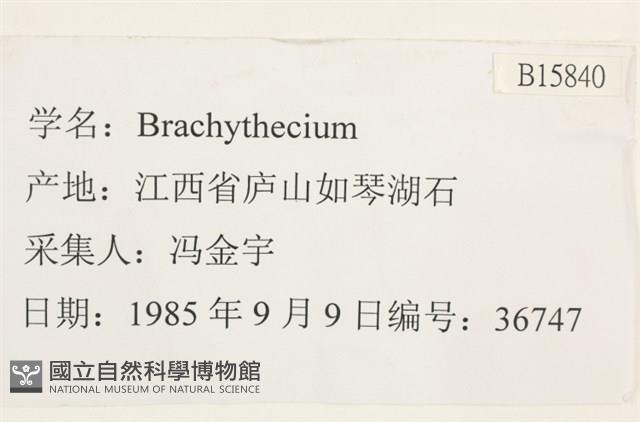 登錄號:B00015840藏品圖，第2張