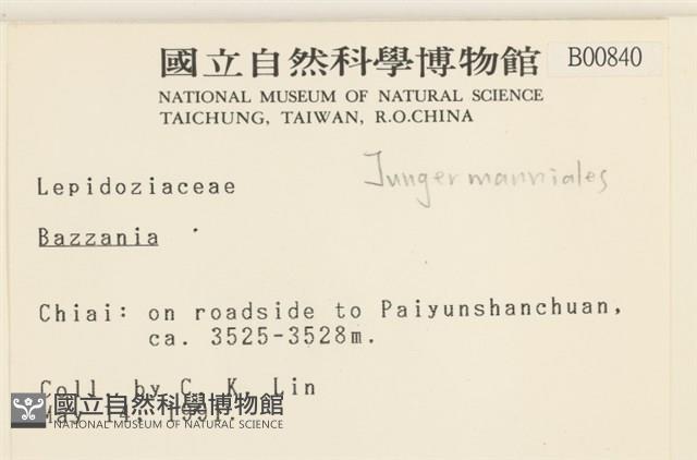登錄號:B00000840藏品圖，第2張