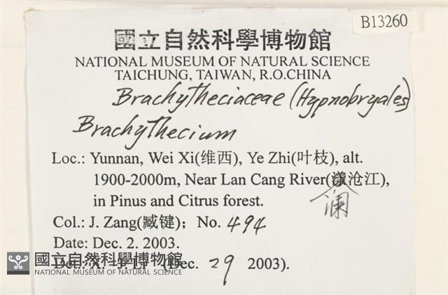 登錄號:B00013260藏品圖，第2張