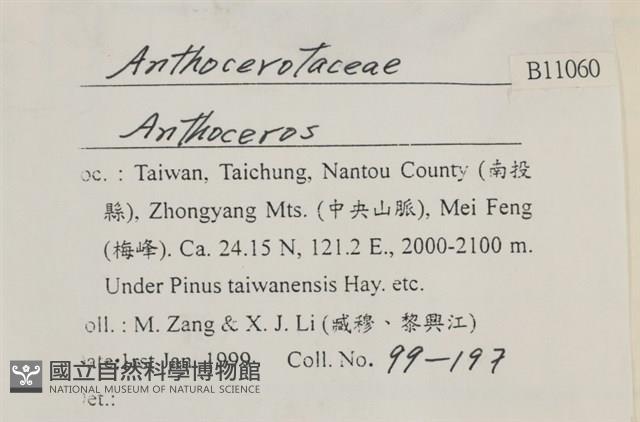 登錄號:B00011060藏品圖，第2張