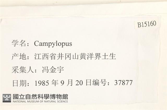 登錄號:B00015160藏品圖，第2張