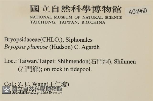 登錄號:A00004960藏品圖，第2張