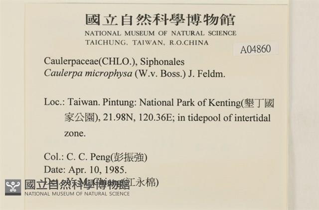 館號:A00004860藏品圖，第2張