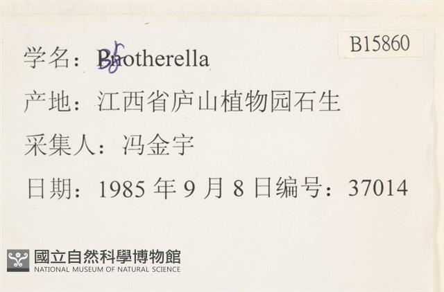 登錄號:B00015860藏品圖，第2張