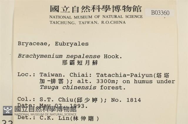 那霸短月蘚藏品圖，第2張