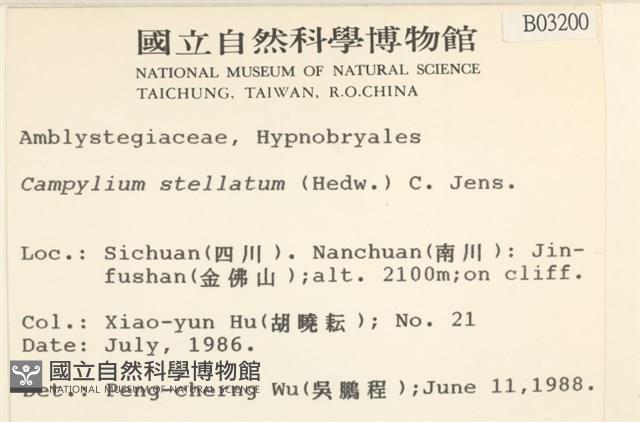 登錄號:B00003200藏品圖，第2張