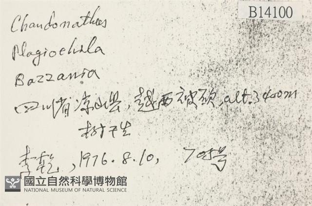 登錄號:B00014100藏品圖，第2張