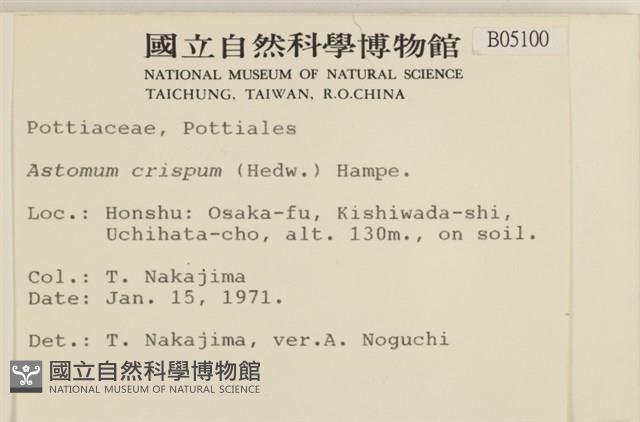 登錄號:B00005100藏品圖，第2張