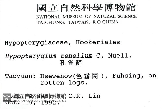 南亞孔雀蘚藏品圖，第2張