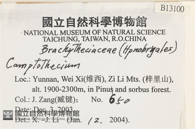 登錄號:B00013100藏品圖，第2張