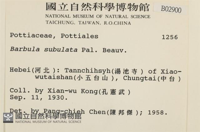 登錄號:B00002900藏品圖，第2張