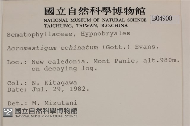 登錄號:B00004900藏品圖，第2張