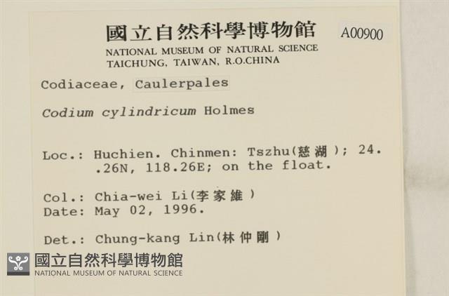 登錄號:A00000900藏品圖，第2張