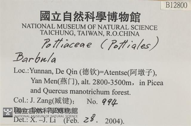 登錄號:B00012800藏品圖，第2張