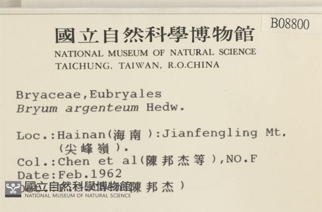 真蘚藏品圖，第2張