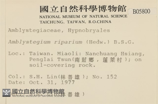 登錄號:B00005800藏品圖，第2張