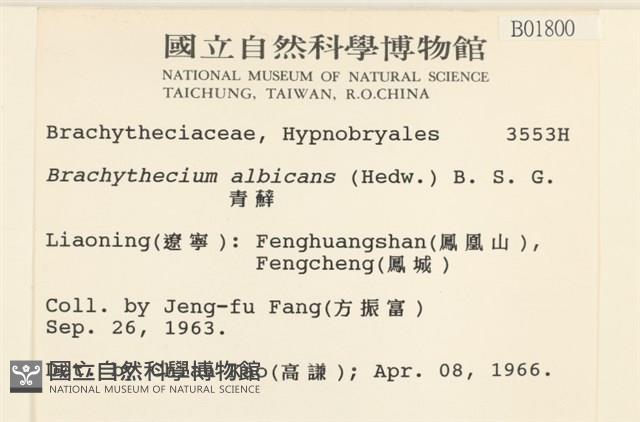 白青蘚藏品圖，第2張