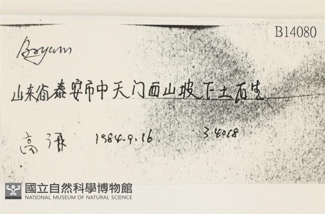 登錄號:B00014080藏品圖，第2張