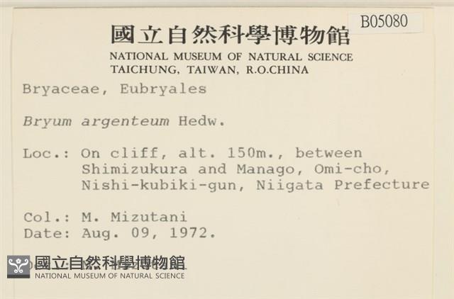 真蘚藏品圖，第2張