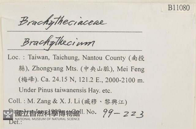 登錄號:B00011080藏品圖，第2張