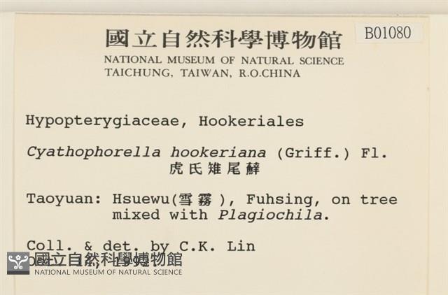 登錄號:B00001080藏品圖，第2張