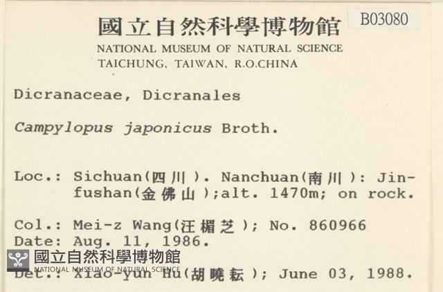 日本曲柄蘚藏品圖，第2張