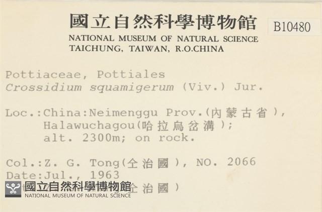 登錄號:B00010480藏品圖，第2張