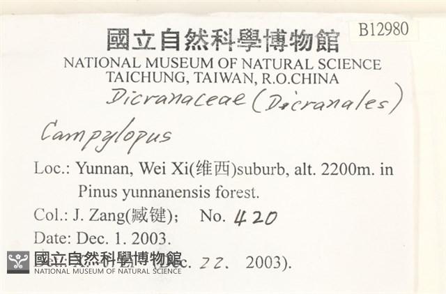 登錄號:B00012980藏品圖，第2張