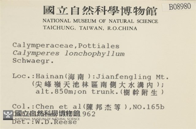 登錄號:B00008980藏品圖，第2張