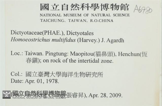 多扇藻藏品圖，第2張