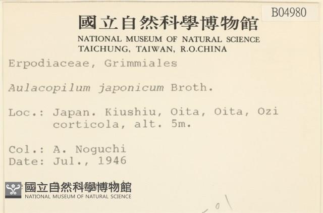 登錄號:B00004980藏品圖，第2張