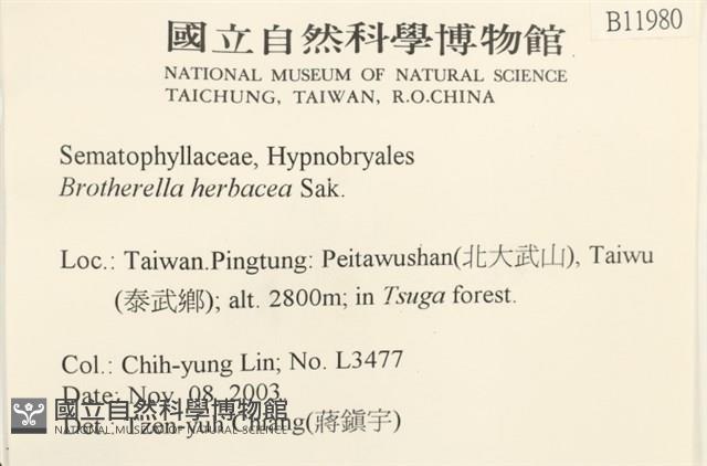 登錄號:B00011980藏品圖，第2張