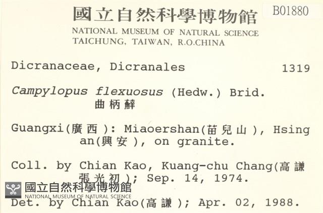 曲柄蘚藏品圖，第2張