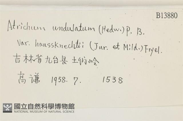 登錄號:B00013880藏品圖，第2張