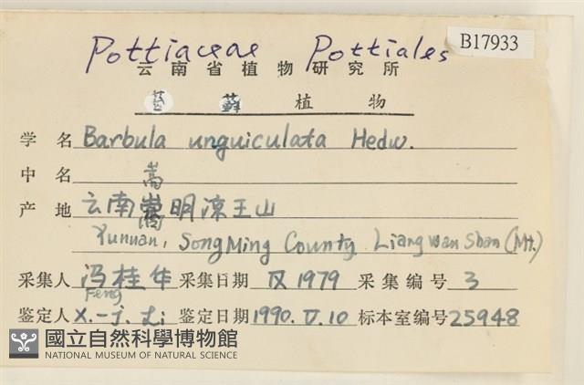 扭口蘚藏品圖，第2張