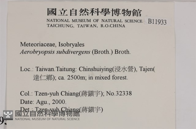 大灰氣蘚藏品圖，第2張