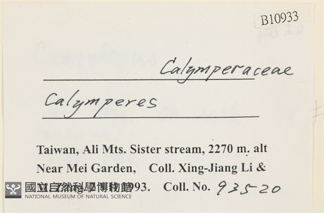 登錄號:B00010933藏品圖，第2張