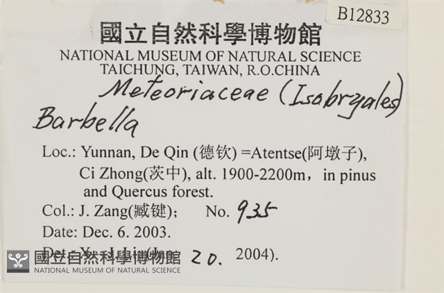 登錄號:B00012833藏品圖，第2張