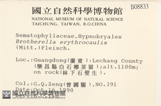 赤莖小錦蘚藏品圖，第2張