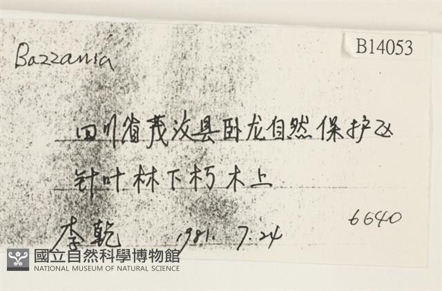 登錄號:B00014053藏品圖，第2張