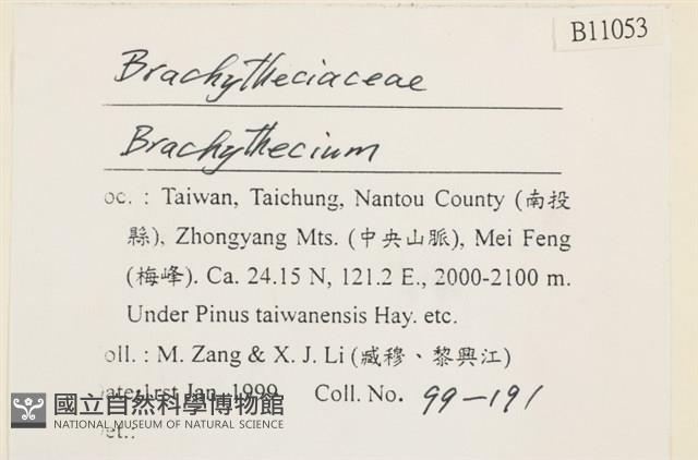 登錄號:B00011053藏品圖，第2張