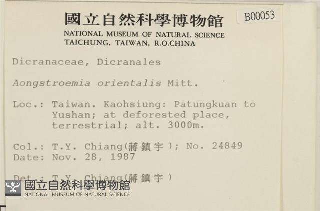 東亞昂氏蘚,東方昂氏蘚藏品圖，第2張