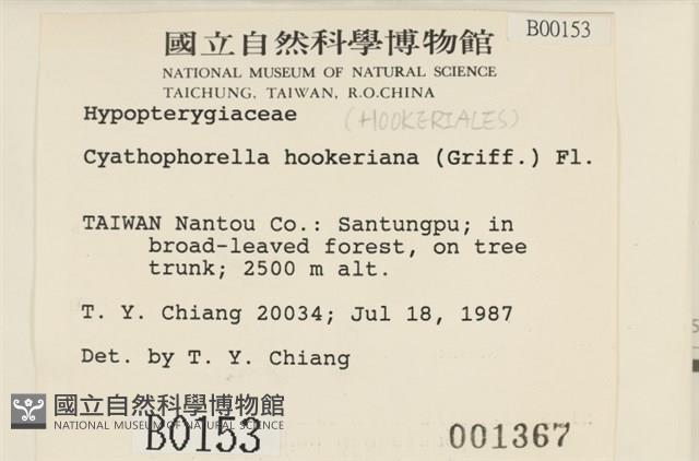 登錄號:B00000153藏品圖，第2張